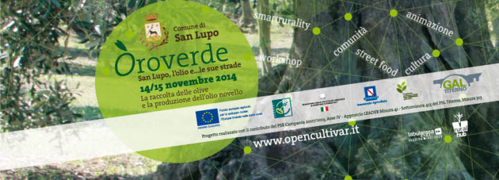 La raccolta delle olive e la produzione dell’olio novello. 14/15 novembre 2014 – San Lupo/BN